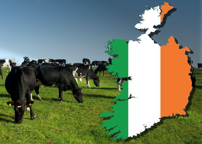 Ireland Proposes Culling 200,000 Cows to Help Meet Climate Goals, Farmers Push Back Dairy Herd